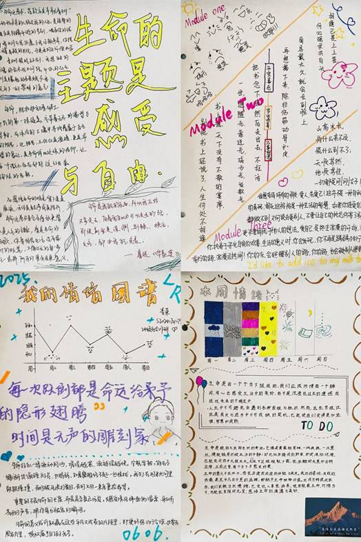 图片9
