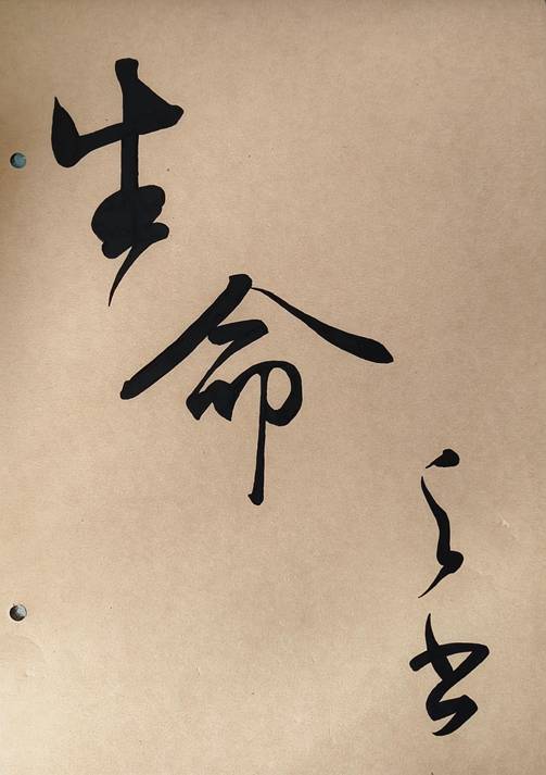 图片7